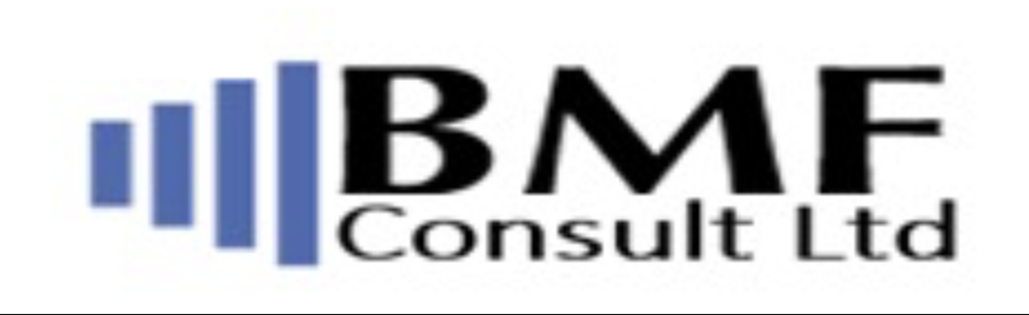 BMF Consult Logo